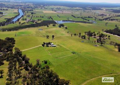 Mixed Farming For Sale - VIC - Swan Reach - 3903 - And The Adventure Begins ...  (Image 2)