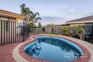 House Sold - WA - Landsdale - 6065 - SPACE, COMFORT & POTENTIAL: DISCOVER THIS GEM IN LANDSDALE!  (Image 2)