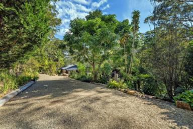 House For Sale - NSW - Bellingen - 2454 - Country Living Close to Bellingen  (Image 2)