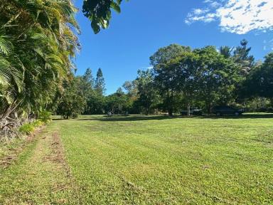 Residential Block For Sale - QLD - Forrest Beach - 4850 - 4,017 SQ.M. (JUST UNDER 1 ACRE) BLOCK AT BEACH!  (Image 2)