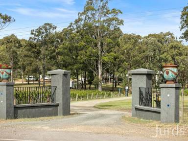 Lifestyle For Sale - NSW - Pokolbin - 2320 - GLAMPING IN HUNTER VALLEY WINE COUNTRY  (Image 2)