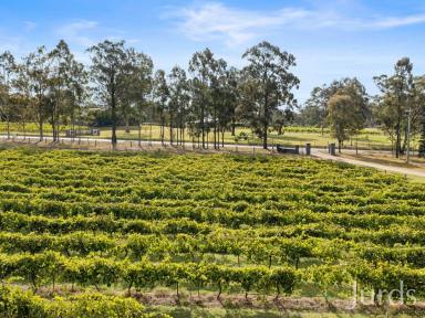 Lifestyle For Sale - NSW - Pokolbin - 2320 - GLAMPING IN HUNTER VALLEY WINE COUNTRY  (Image 2)