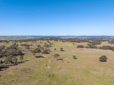 Lifestyle Sold - NSW - Gunning - 2581 - Expand Your Rural Horizons With Endless Options  (Image 2)