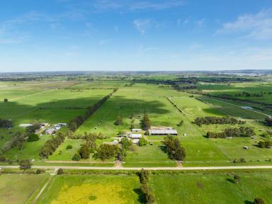 Other (Rural) For Sale - VIC - Pakenham South - 3810 - EQUINE, LIFESTYLE, AND LANDBANK .  (Image 2)