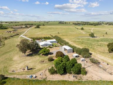 Acreage/Semi-rural For Sale - NSW - Harden - 2587 - Town Water Farm  (Image 2)
