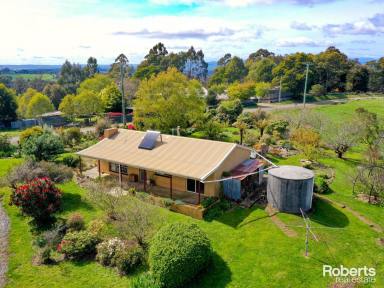 House Sold - TAS - Holwell - 7275 - Tranquil Acreage in Holwell: Embrace Rural Bliss  (Image 2)