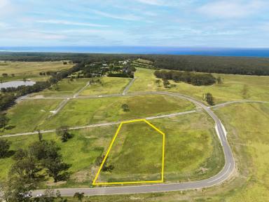 Residential Block For Sale - NSW - Berry - 2535 - Build your Dream Lifestyle Retreat  (Image 2)