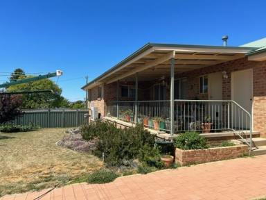 House For Sale - NSW - Cooma - 2630 - What a Wonderful Place to Start  (Image 2)