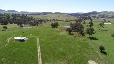 Mixed Farming For Sale - NSW - Uriarra - 2611 - Fairleigh  (Image 2)
