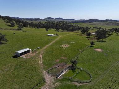 Mixed Farming For Sale - NSW - Uriarra - 2611 - Fairleigh  (Image 2)