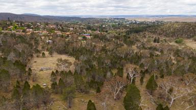 Residential Block For Sale - NSW - Cooma - 2630 - Rare 6.5 Acre Residential Block - Zoned Large lot Residential  (Image 2)