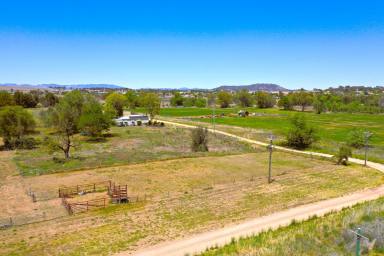 Residential Block For Sale - NSW - Quirindi - 2343 - THREE TITLES RESIDENTIAL ZONED LAND  (Image 2)