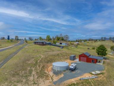 House For Sale - NSW - Bemboka - 2550 - EXQUISITE RURAL RETREAT WITH DUAL DWELLINGS ON 2.7 ACRES!  (Image 2)