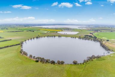 Mixed Farming For Sale - VIC - Burrumbeet - 3352 - "TOULOUSE ESTATE" Western Highway BURRUMBEET VIC  195/HA- 482/AC*  (Image 2)