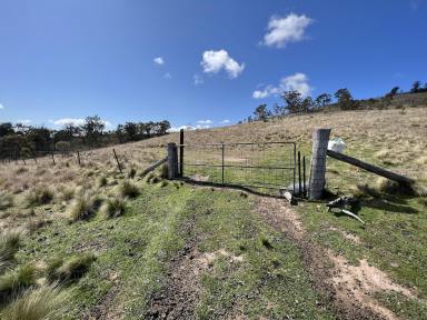 Livestock For Sale - NSW - Bannaby - 2580 - 470 Acres, A Big Land holding. Mix Of Bush & Cleared, Ideal Weekender, Perfect future home site.  (Image 2)