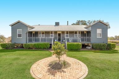Lifestyle Sold - QLD - Aubigny - 4401 - "Outstation" - Meticulously restored character home set on a versatile 60 acres within 25 minutes to Toowoomba with income potential  (Image 2)