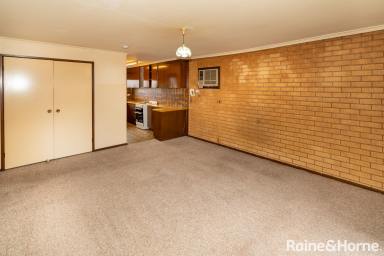 House Leased - NSW - Ashmont - 2650 - Charming 1970s Low Maintenance Property - Ideal for Downsizers or Elderly  (Image 2)