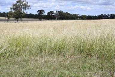 Mixed Farming For Sale - QLD - Quinalow - 4403 - 'Nanyah'
Our instructions are very, very clear - Sell this well improved and positioned property  (Image 2)