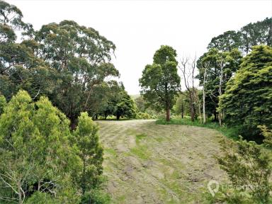 Residential Block For Sale - VIC - Foster - 3960 - IN TOWN ACREAGE  (Image 2)