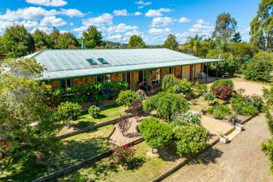 Lifestyle For Sale - NSW - Darbys Falls - 2793 - Experience tranquillity!  (Image 2)