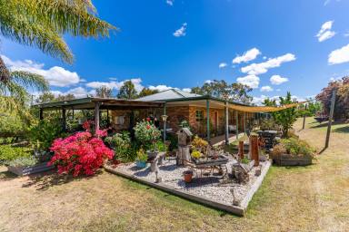 Lifestyle For Sale - NSW - Darbys Falls - 2793 - Experience tranquillity!  (Image 2)