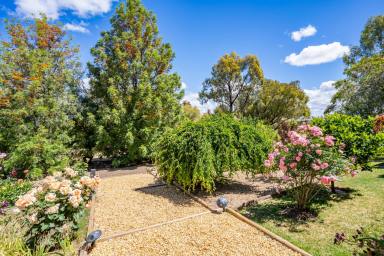 Lifestyle For Sale - NSW - Darbys Falls - 2793 - Experience tranquillity!  (Image 2)