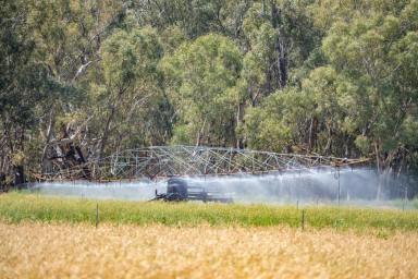 Cropping For Sale - NSW - Forbes - 2871 - HIGH PRODUCTION, DEVELOPED LACHLAN RIVER & BORE IRRIGATION COUNTRY!  (Image 2)