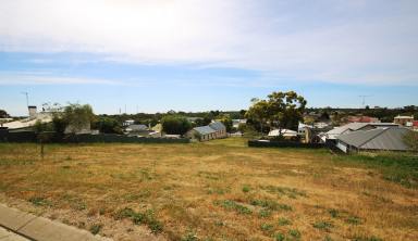 Other (Residential) For Sale - SA - Naracoorte - 5271 - 3 Allotments in Superior Town Centre Location - buy 1 or all 3!  (Image 2)