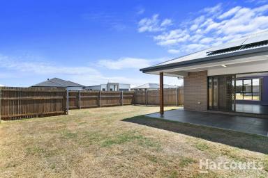 House Sold - QLD - Eli Waters - 4655 - Why Wait ?  Move In Yesterday ….  (Image 2)