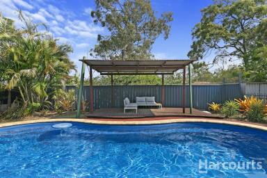 House Sold - QLD - Torquay - 4655 - Buy Now For Your Hervey Bay Future ….  (Image 2)
