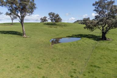 Residential Block For Sale - VIC - Bonnie Doon - 3720 - LIFESTYLE ACREAGE WITH LAKE & STRATHBOGIE VIEWS  (Image 2)