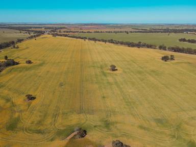 Residential Block For Sale - VIC - Teddywaddy - 3527 - Ideal Cropping Country  (Image 2)