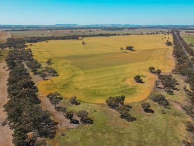Residential Block For Sale - VIC - Teddywaddy - 3527 - Ideal Cropping Country  (Image 2)