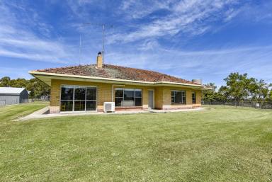 Lifestyle Sold - SA - Wattle Range East - 5279 - Renovated rural living delight  (Image 2)