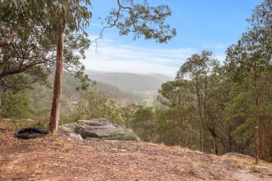 House For Sale - NSW - Putty - 2330 - "Brookside" - A slice of heaven - off the grid lifestyle retreat!  (Image 2)