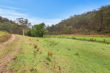 House For Sale - NSW - Putty - 2330 - "Brookside" - A slice of heaven - off the grid lifestyle retreat!  (Image 2)