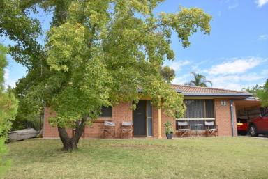 House Leased - NSW - Moree - 2400 - Family Home  (Image 2)