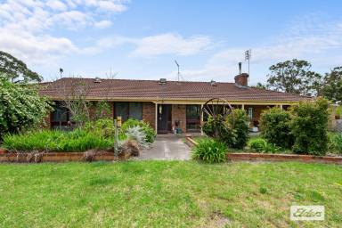 Farmlet For Sale - VIC - Stradbroke - 3851 - Escape to the country  (Image 2)
