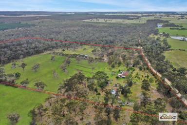 Farmlet For Sale - VIC - Stradbroke - 3851 - Escape to the country  (Image 2)