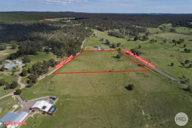 Residential Block For Sale - VIC - Snake Valley - 3351 - Build Where The Brumby's Roam Free  (Image 2)