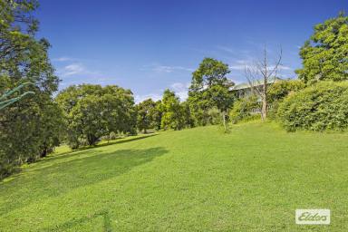 Residential Block For Sale - NSW - Picton - 2571 - Private position high up in the Picton hills! 841m2  (Image 2)