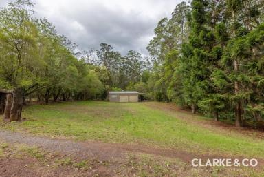 Residential Block Sold - QLD - Peachester - 4519 - RARE PEACHESTER PARCEL!!  (Image 2)