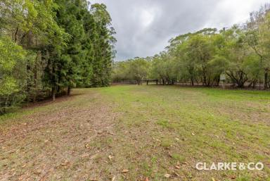 Residential Block Sold - QLD - Peachester - 4519 - RARE PEACHESTER PARCEL!!  (Image 2)