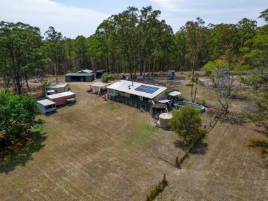 Lifestyle For Sale - NSW - Collombatti - 2440 - Discover Tranquillity - Just 25 Minutes From Kempsey on 22Ha (54 Acres)  (Image 2)