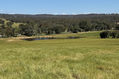 Mixed Farming Sold - NSW - Kyeamba - 2650 - FOR LEASE - Mixed Grazing Opportunity  (Image 2)