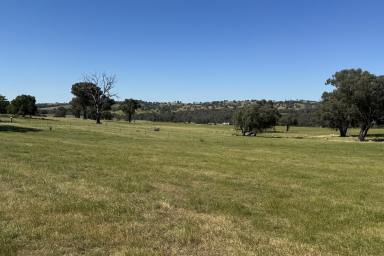 Mixed Farming Sold - NSW - Kyeamba - 2650 - FOR LEASE - Mixed Grazing Opportunity  (Image 2)