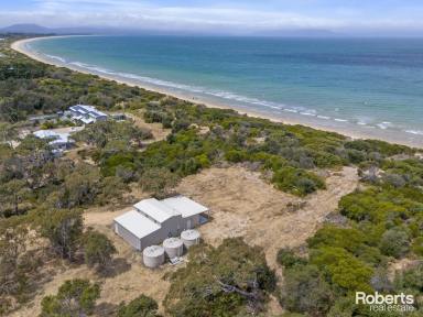 Residential Block Sold - TAS - Dolphin Sands - 7190 - Relax, Explore The Coast - Or Build Your New Coastal Escape!  (Image 2)