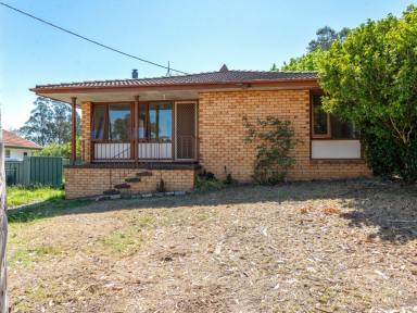House Sold - NSW - Bega - 2550 - SOLID BRICK HOME IN BEGA  (Image 2)