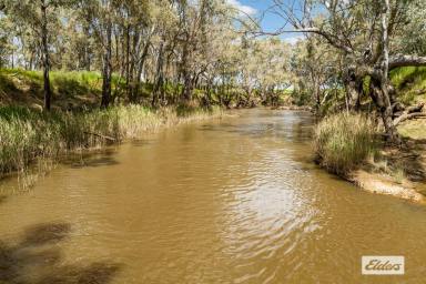 Other (Rural) For Sale - VIC - Runnymede - 3558 - 'Charter House' 1501 River Road, Runnymede – Elmore District.
177 Ha – 437.4 Acres Approx 4km Campaspe River Frontage  (Image 2)