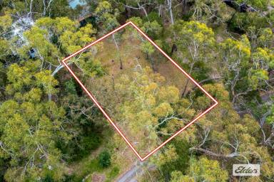 Residential Block For Sale - VIC - Halls Gap - 3381 - Affordable Building Allotment In Magnificent Bush Setting  (Image 2)